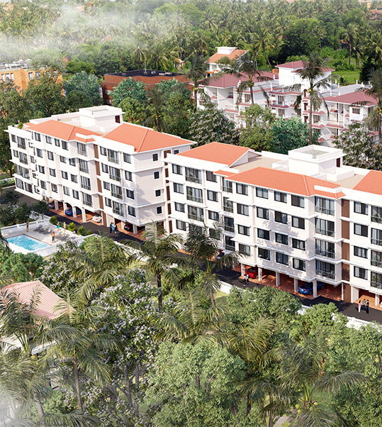 banner for Saldanha Baga